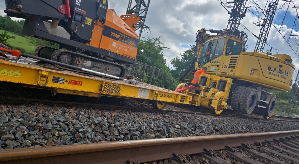 Railway vegetation clearance and tree work by RJ Hutchinson Tree Services