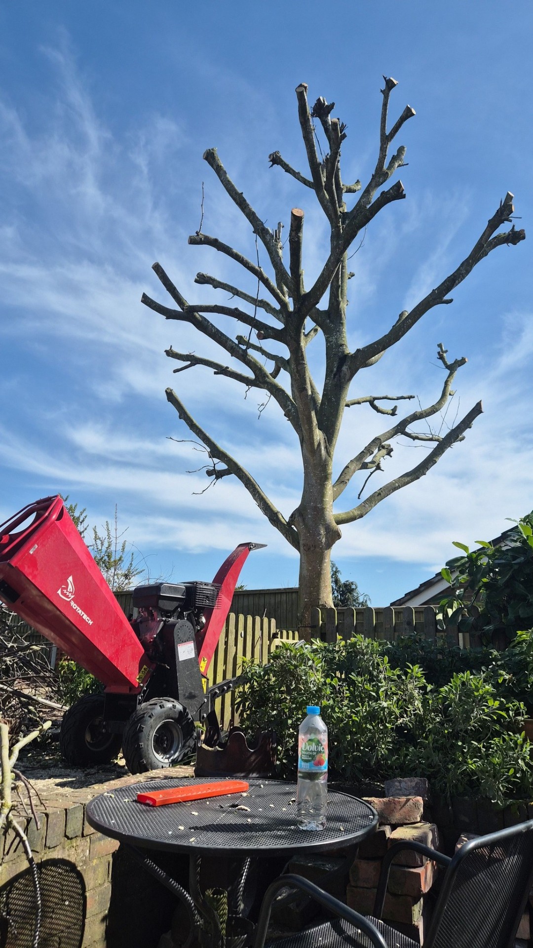 Crown pollarding completed on a mature garden tree in Tamworth